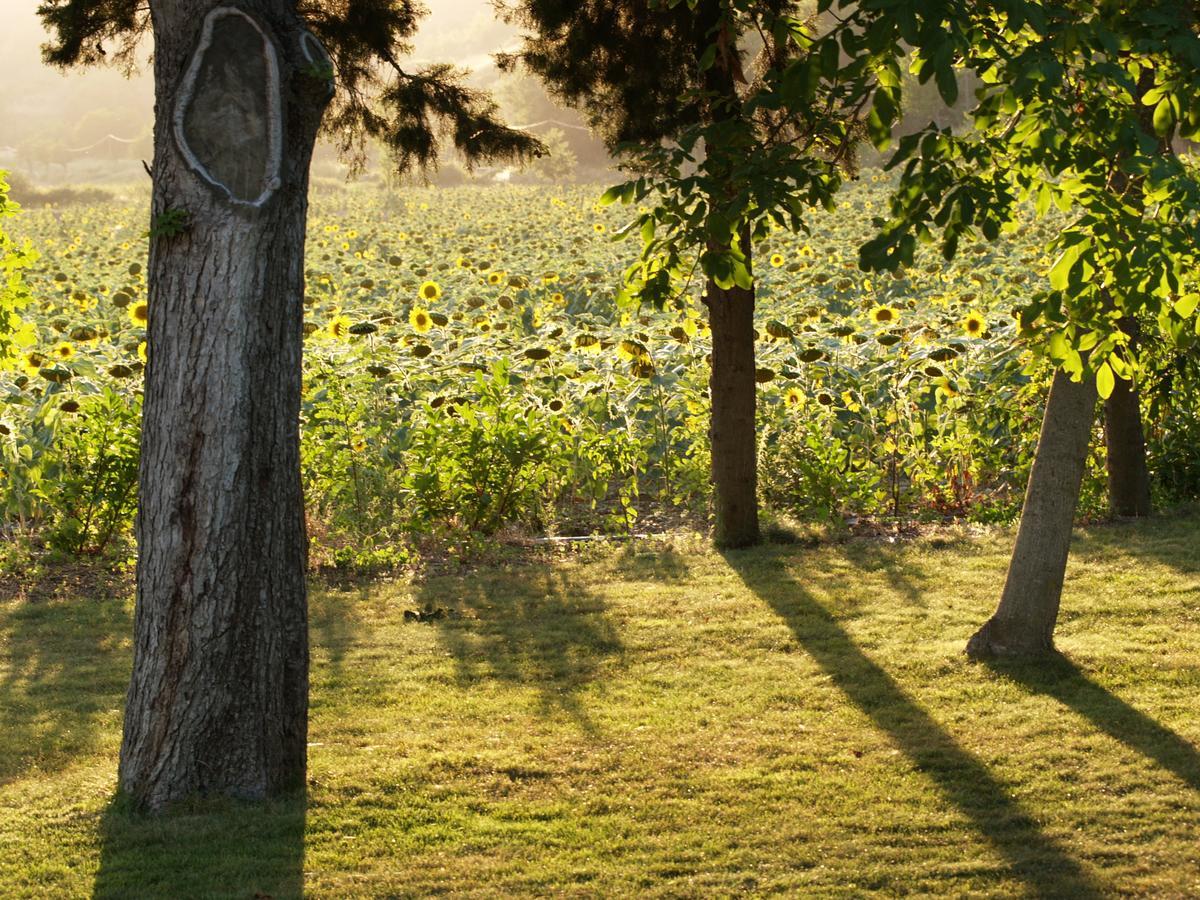 Domaine De Luzenac Bed & Breakfast Val-du-Faby Luaran gambar