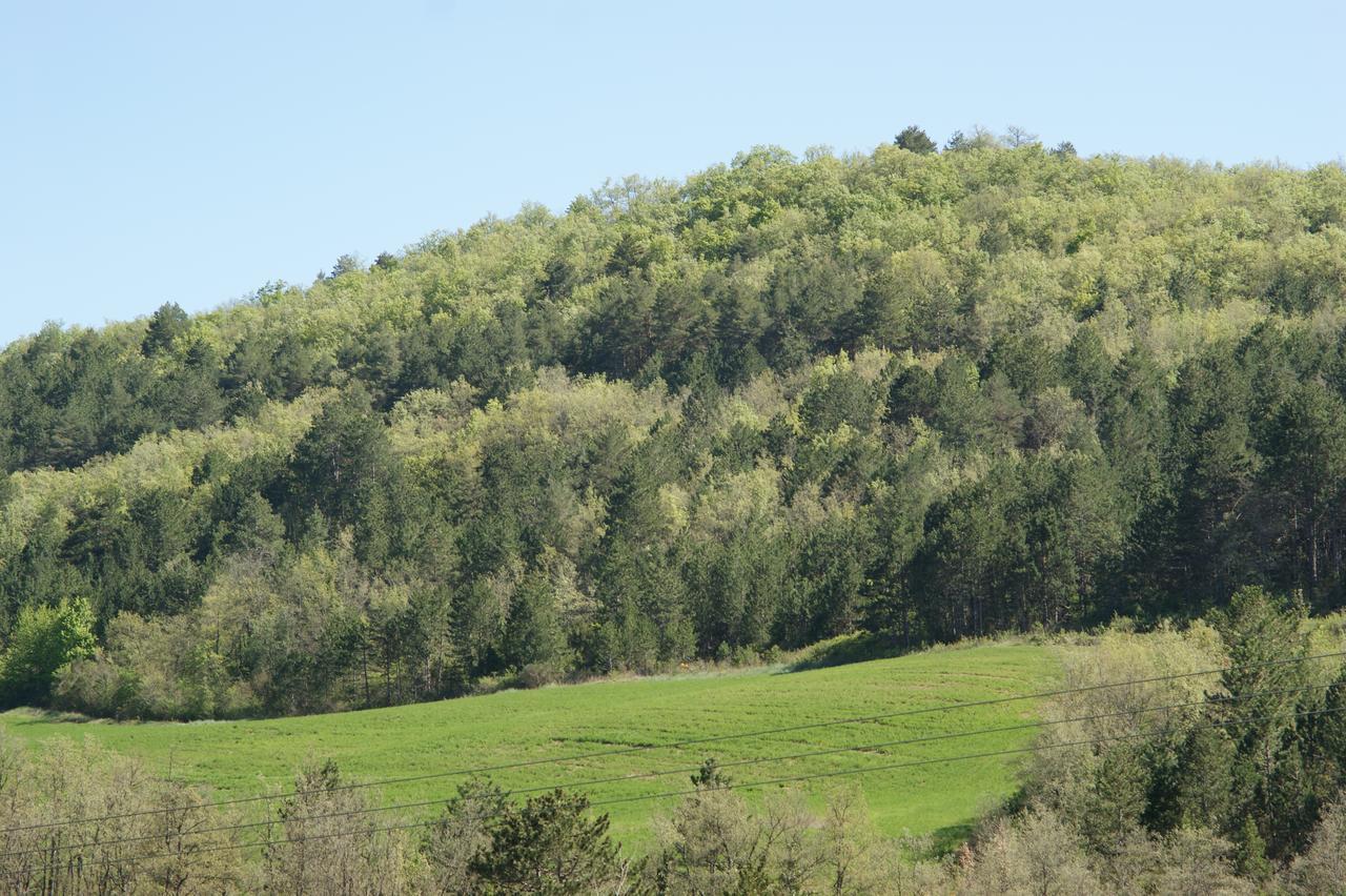 Domaine De Luzenac Bed & Breakfast Val-du-Faby Luaran gambar
